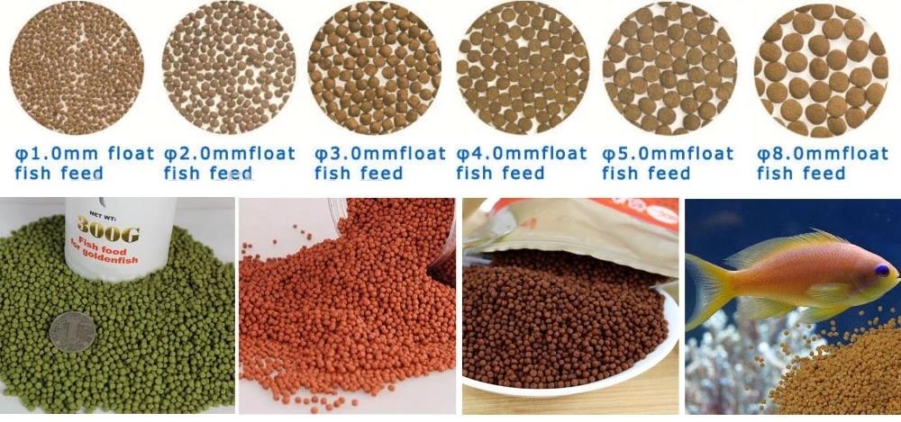 fish feed .jpg