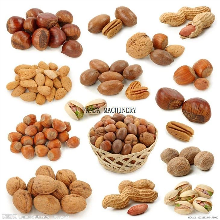 Automatic Nuts Cashew Peanut Seeds Chestnut Roasting Machine By Electric Or Gas